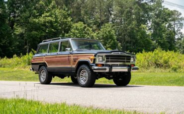 Jeep-Wagoneer-1991-SUV-20