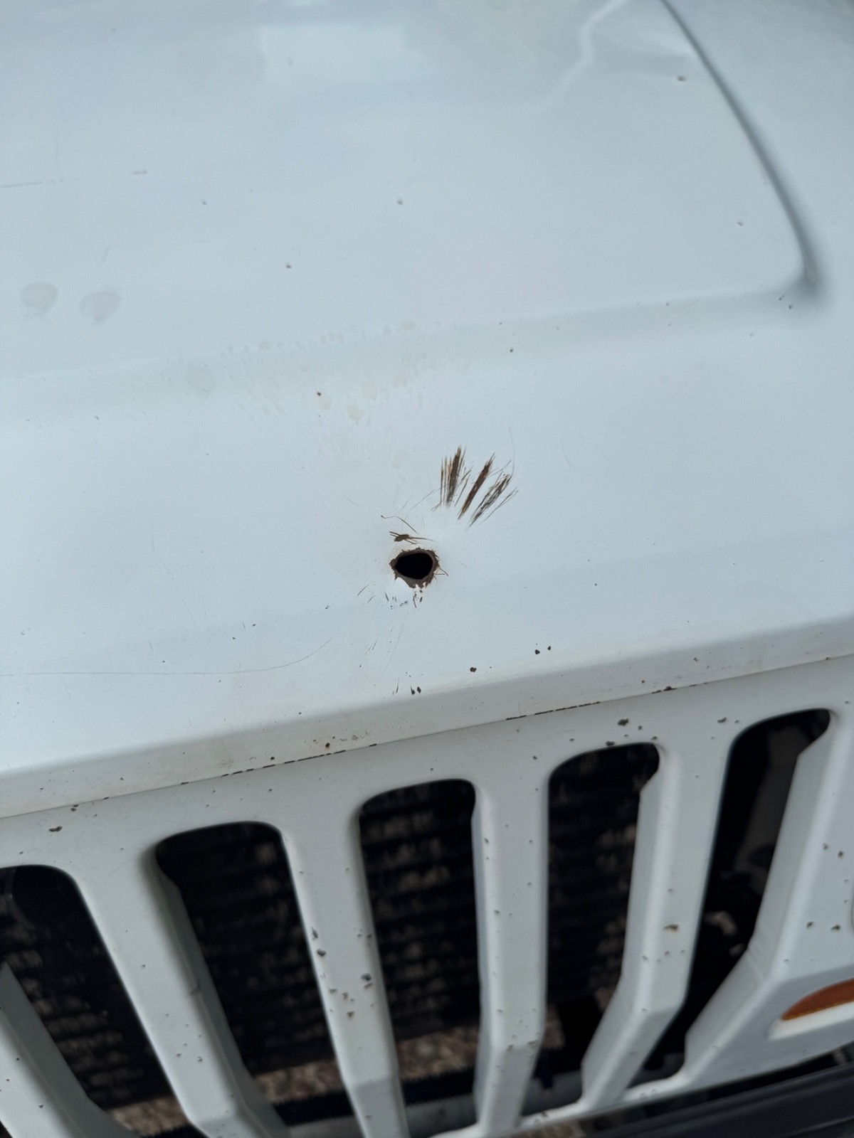 Jeep-Wrangler-1992-8