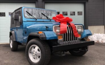 Jeep-Wrangler-1993-SUV-2