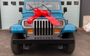 Jeep-Wrangler-1993-SUV-3