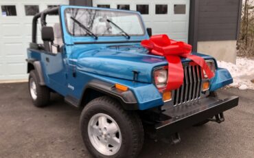 Jeep-Wrangler-1993-SUV-4