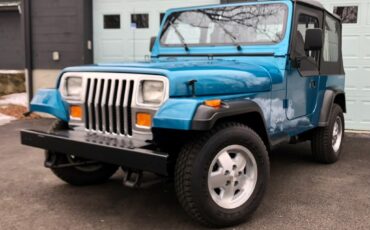 Jeep-Wrangler-1993-SUV-5