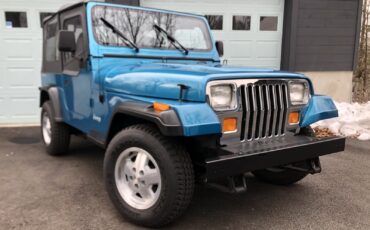 Jeep-Wrangler-1993-SUV-6