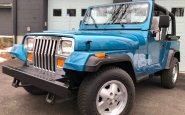 Jeep-Wrangler-1993-SUV-8