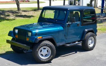 Jeep-Wrangler-1995-SUV-8