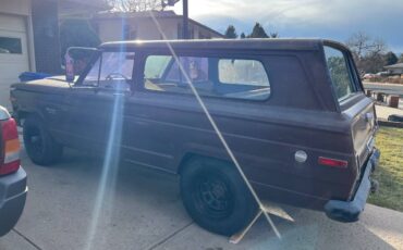 Jeep-cherokee-1976-brown-2