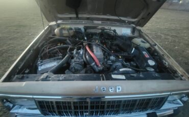 Jeep-cherokee-pioneer-1989-2