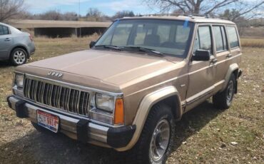 Jeep-cherokee-pioneer-1989-5