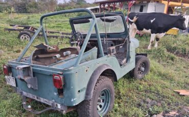Jeep-cj5-1979-green