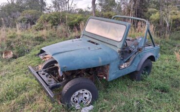 Jeep-cj5-1979-green-5