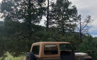 Jeep-cj7-1985-brown-1