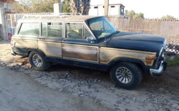 Jeep-grand-wagoneer-1980-blue-3
