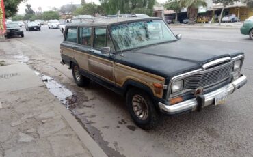 Jeep-grand-wagoneer-1980-blue-6