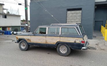 Jeep-grand-wagoneer-1980-blue-7