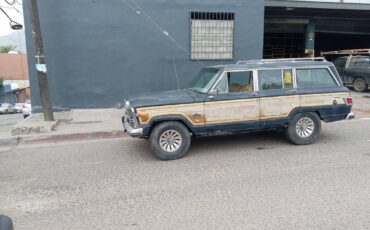 Jeep-grand-wagoneer-1980-blue-8