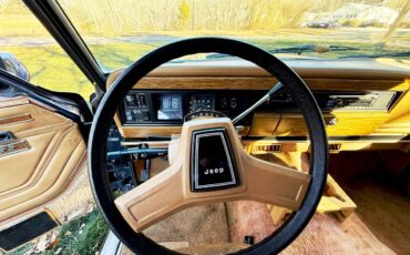 Jeep-grand-wagoneer-1987-15