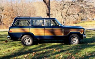 Jeep-grand-wagoneer-1987-6