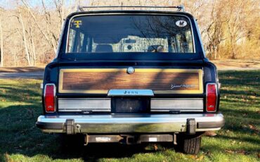 Jeep-grand-wagoneer-1987-8