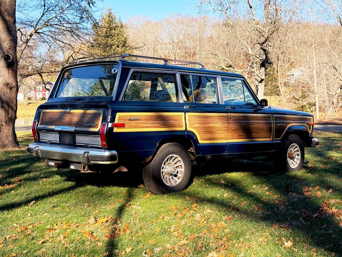 Jeep-grand-wagoneer-1987-9