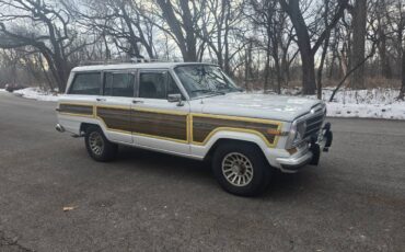 Jeep-grand-wagoneer-1990-1