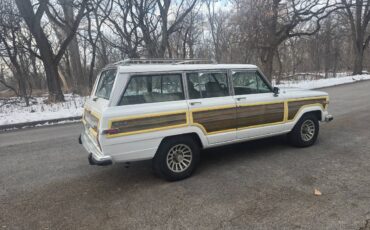Jeep-grand-wagoneer-1990-10