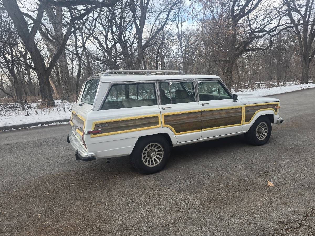 Jeep-grand-wagoneer-1990-10