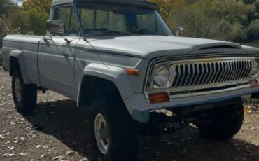 Jeep-honcho-1977-grey-13