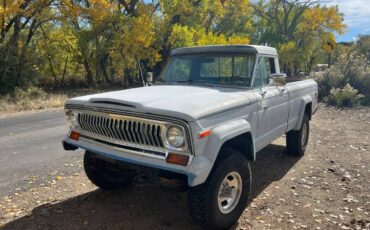 Jeep-honcho-1977-grey