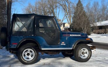 Jeep-levis-1976-blue-2