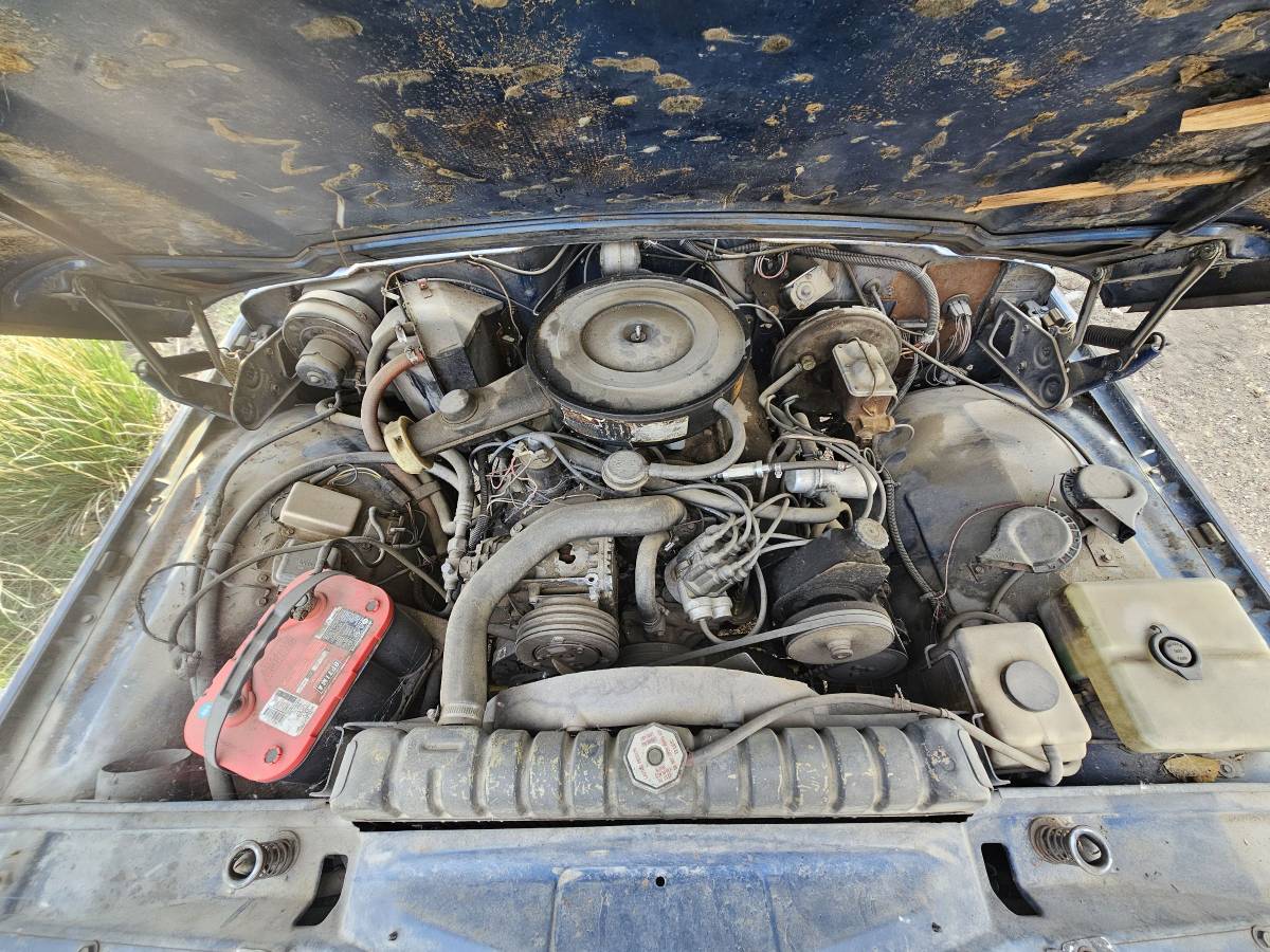 Jeep-wagoneer-1977-blue-3