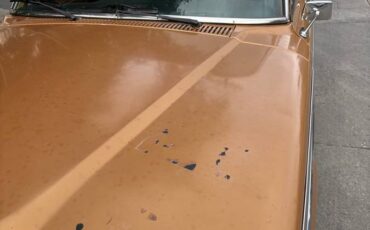 Jeep-wagoneer-1982-12