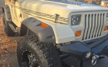 Jeep-wrangler-1990-brown-14