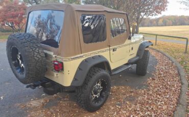 Jeep-wrangler-1990-brown