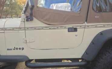 Jeep-wrangler-1990-brown-5