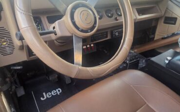 Jeep-wrangler-1990-brown-8