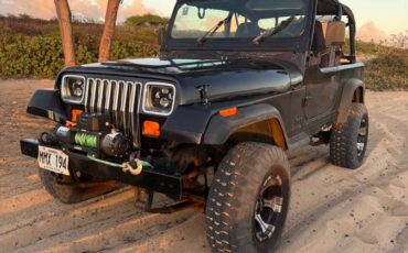 Jeep-wrangler-1992-black-2