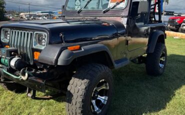 Jeep-wrangler-1992-black-6