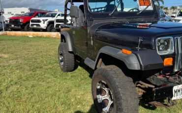 Jeep-wrangler-1992-black-7