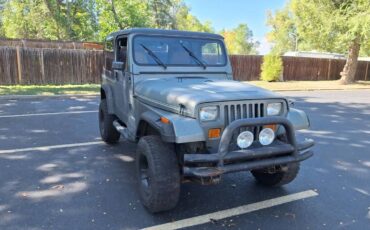 Jeep-wrangler-1992-green-3
