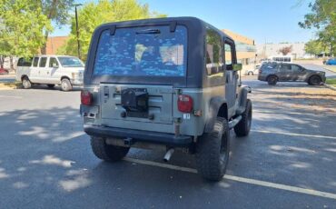 Jeep-wrangler-1992-green-6