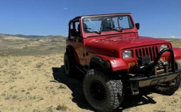 Jeep-wrangler-1993-3