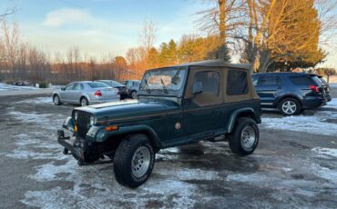 Jeep-wrangler-1993-green-2