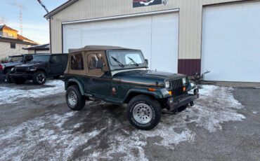 Jeep-wrangler-1993-green-5