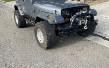 Jeep-wrangler-1993-grey-4
