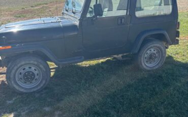 Jeep-wrangler-1994-4