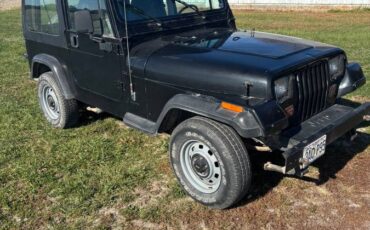 Jeep-wrangler-1994-8