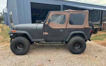 Jeep-wrangler-1994-black-2