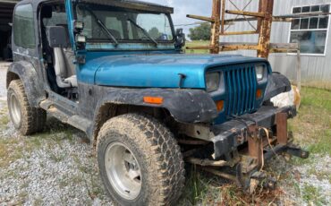 Jeep-wrangler-1994-blue-2