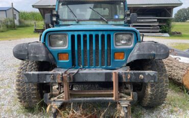 Jeep-wrangler-1994-blue-4