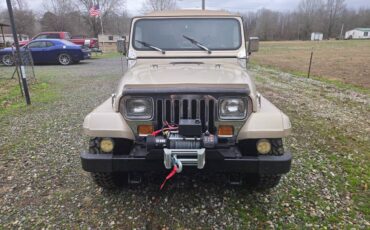 Jeep-wrangler-1994-brown-1